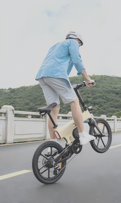 Folding E-Bike