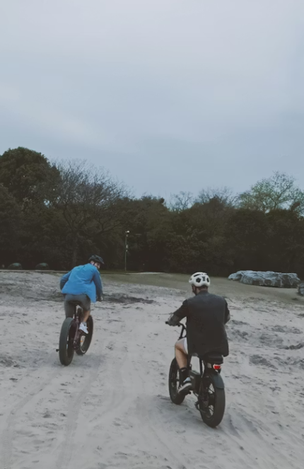 Sand/Beach Riding