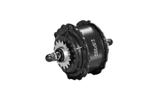 2 Gear Auto-shifting Motor ZSM2136E 